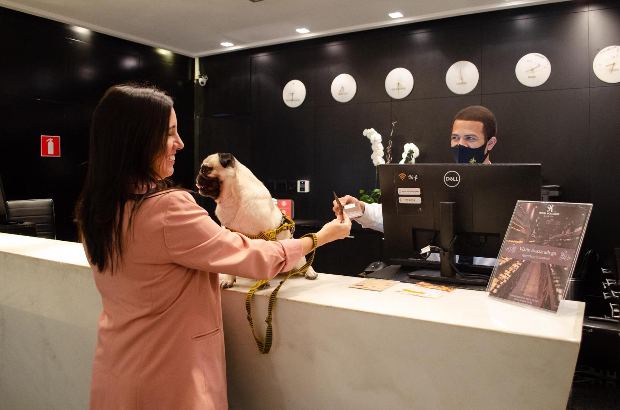 בלו הוריזונטה Royal Boutique Savassi Hotel מראה חיצוני תמונה A woman checking in at a hotel with her dog